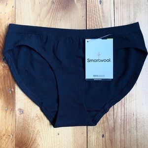 NWT SmartWool Merino Wool Bikini Briefs SMALL
